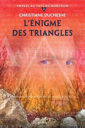 [Voyage au pays du Montnoir 02] • L' Énigme Des Triangles